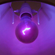 Image for article titled How World War I Spy Catchers Popularized UV Lamps